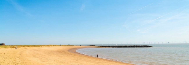 Pet Friendly Accommodation in Clacton on Sea to Rent